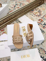 New Spring/Summer 2026 Dior Chunky Heel CD Slippers