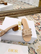 New Spring/Summer 2026 Dior Chunky Heel CD Slippers