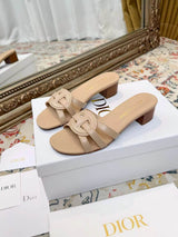 New Spring/Summer 2026 Dior Chunky Heel CD Slippers