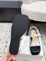 DIOR Spring/Summer 2026 Newest Letter Ribbon Straw Wedge Sandals
