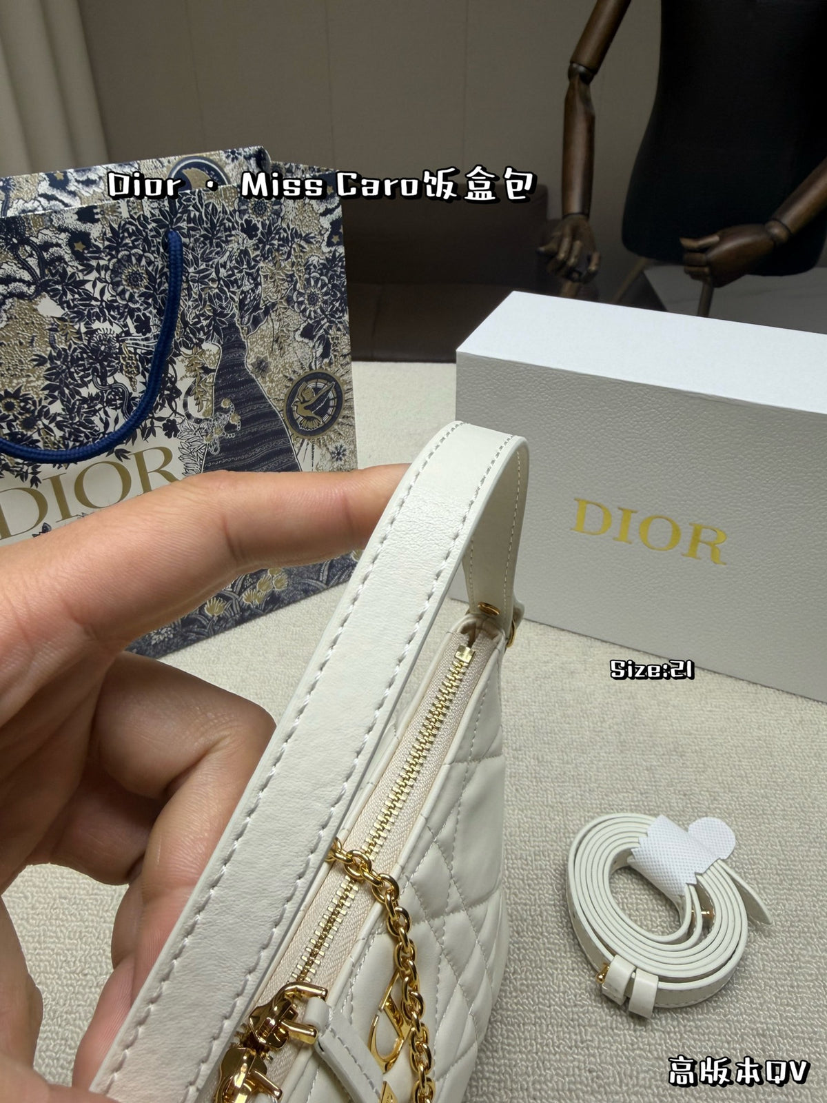 Dior Miss Caro Lunch Box Bag